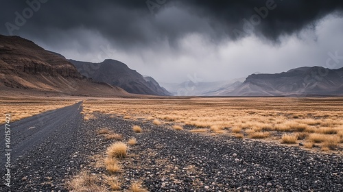 A gravel road winds through a vast, dry landscape under a stormy sky