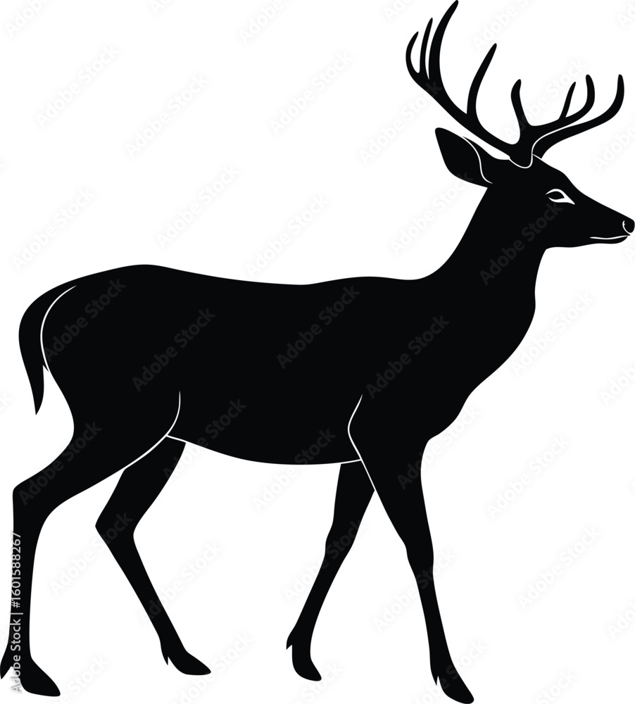 Fototapeta premium Deer Silhouette Vector