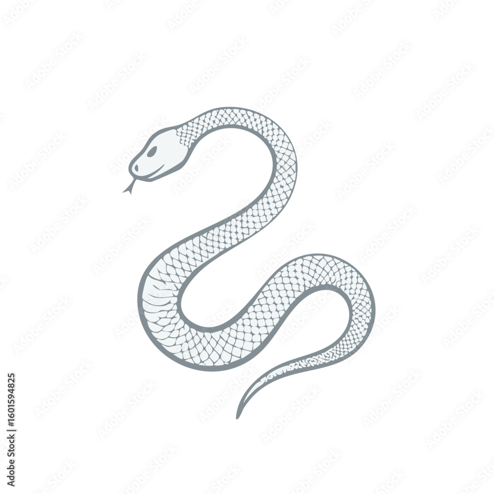Fototapeta premium Stylized Snake Illustration Coiled and Ready to Strike, Gray Scale Simple Artwork