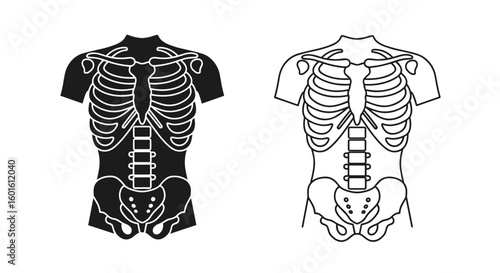 Illustration showing two skeletal torsos one in silhouette and one in outline