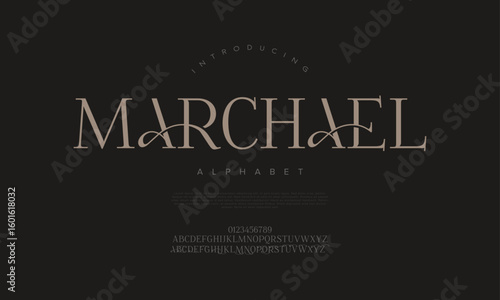 Elegant serif font with modern flourishes and clean structure, perfect for timeless editorial and fashion branding