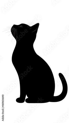 Silhouette of a Black Cat Against a White Background
