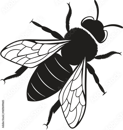 Bee Vector Silhouette Isolated On White Background