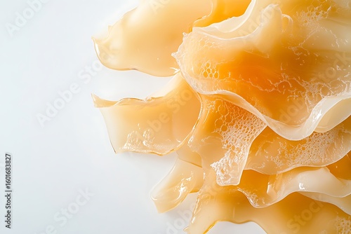 Wallpaper Mural Close-up of White Fungus: A Delicate and Translucent Culinary Ingredient for Gourmet Cuisine Torontodigital.ca