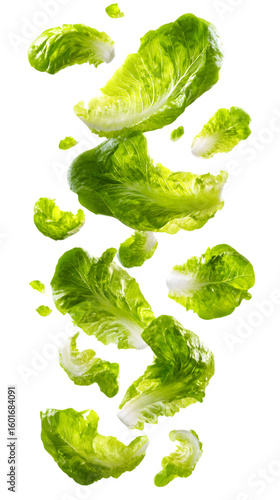 Fresh green lettuce salad with leafy vegetables isolated on white background