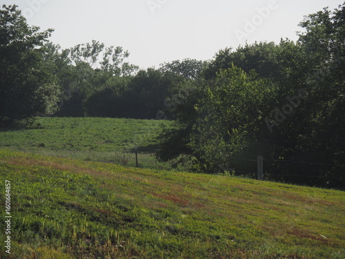Rural Kansas Meadow with grass and trees.