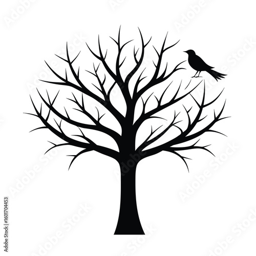 Artistic depiction of a sparse tree canopy featuring delicate branches and a subtle bi colored background element