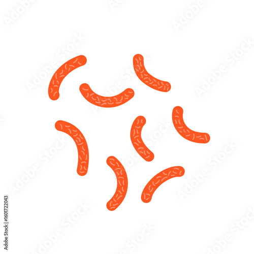 Bacillus subtilis bacterial vector