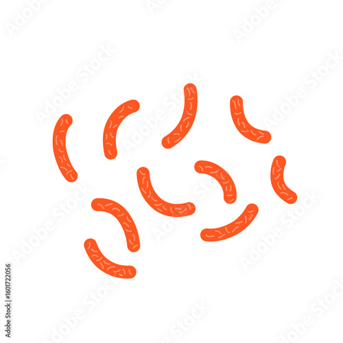 Bacillus subtilis bacterial vector