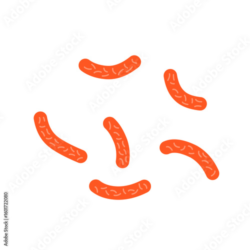Bacillus subtilis bacterial vector