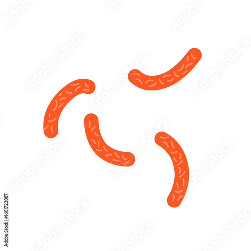 Bacillus subtilis bacterial vector