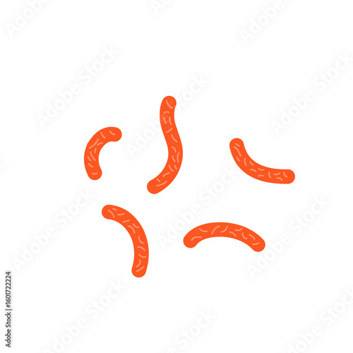 Bacillus subtilis bacterial vector