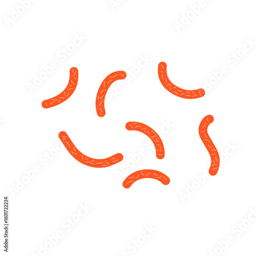 Bacillus subtilis bacterial vector