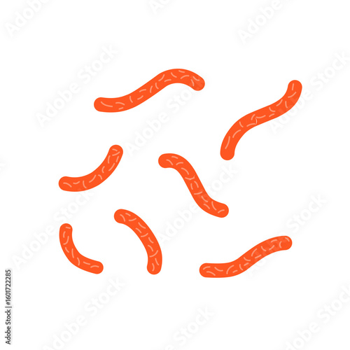 Bacillus subtilis bacterial vector