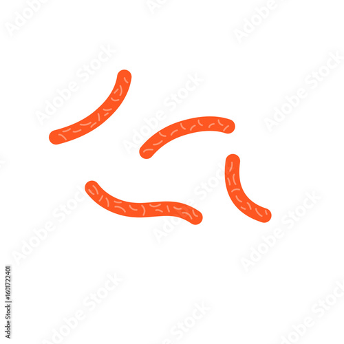 Bacillus subtilis bacterial vector