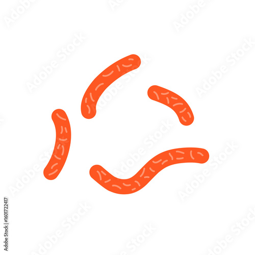 Bacillus subtilis bacterial vector