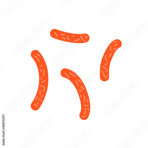 Bacillus subtilis bacterial vector
