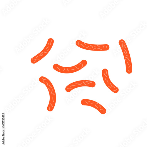 Bacillus subtilis bacterial vector