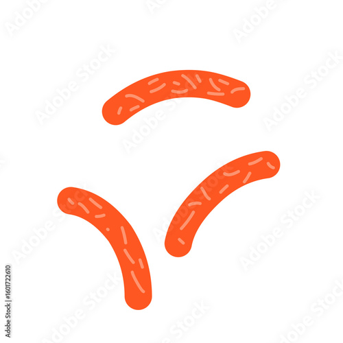 Bacillus subtilis bacterial vector