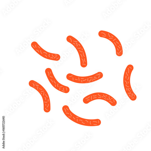 Bacillus subtilis bacterial vector