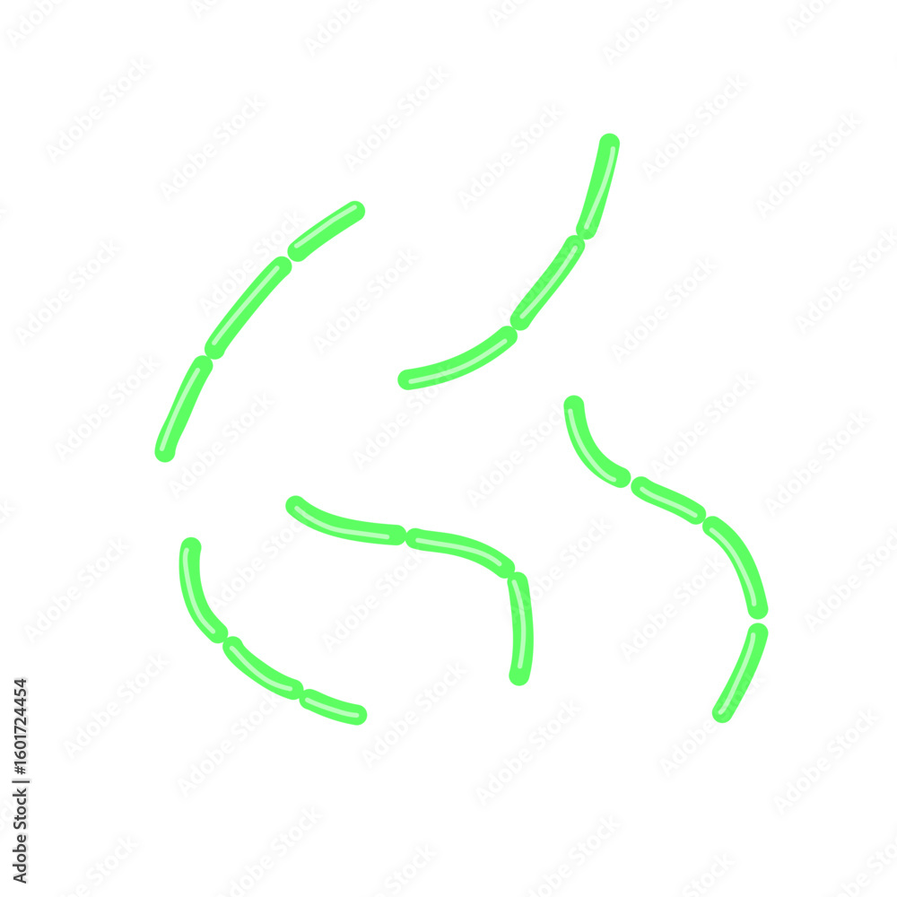 diplobacillus bacteria diplobacillus bacteria
