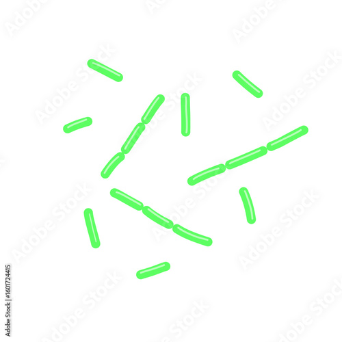 diplobacillus bacteria