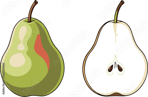 Illustration of a whole green pear and a halved pear, showcasing the fruit's interior with seeds.