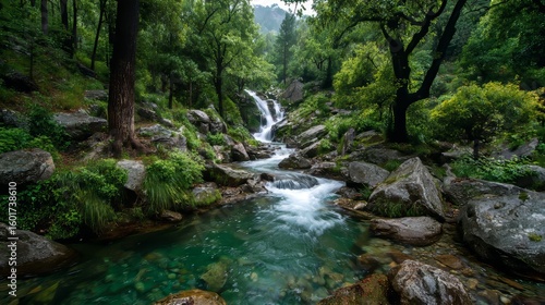 Cascading waterfall adventure mountain stream nature photography lush green environment serene viewpoint tranquility concept