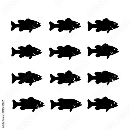 Minimalist Black Barramundi Fish Silhouettes Representing Aquatic Wildlife in Simple Graphic Forms