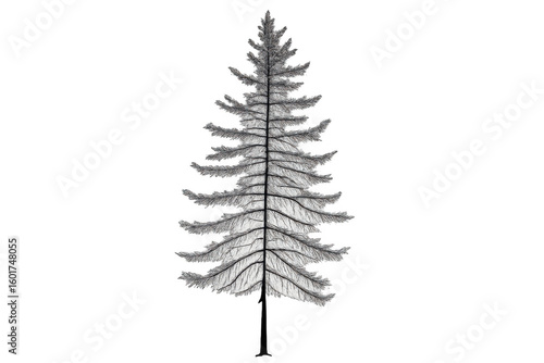 White fir tree standing isolated against transparent background, enhancing architectural renderings with natural element placement