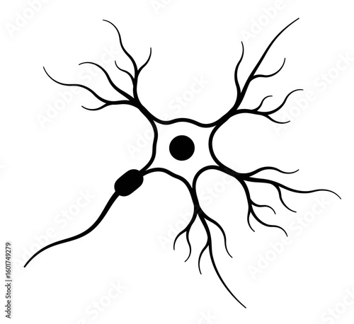 Neuron illustration with branched structure in black silhouette style  
