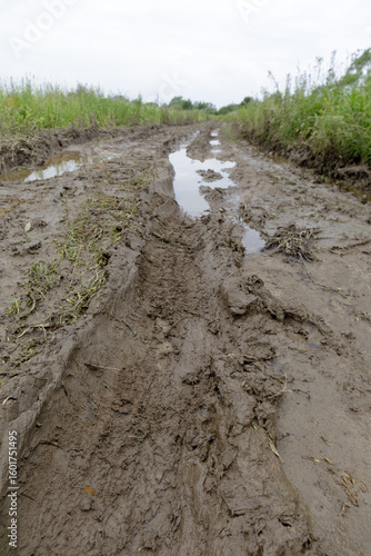 Muddy country road with deep tire ruts and puddles after rain, surrounded by tall grass under an overcast sky.
