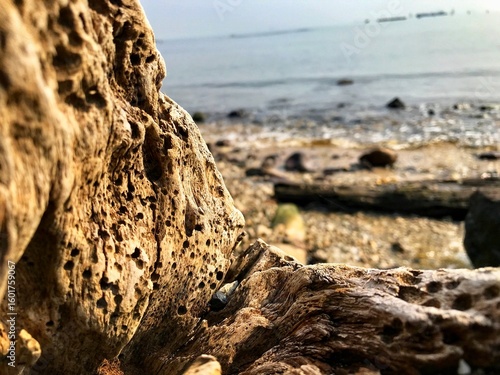 blur background weathered wood & rocks at the beach