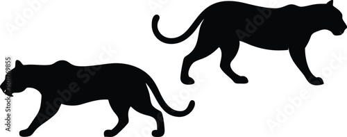 Set of two prowling black panther silhouettes, a vector icon symbolizing stealth and power.