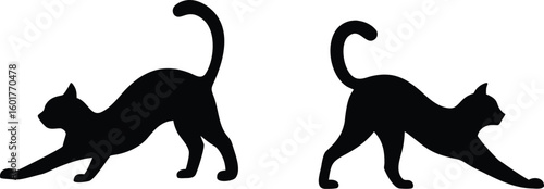 Set of two black cat silhouettes, playful feline icon isolated on white.