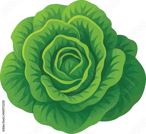 🥬 FRESH GREEN LETTUCE VECTOR 🌿 – This crisp, AI-generated leafy lettuce illustration is perfect for food branding, packaging, and organic designs. Download now to freshen up your creativity!