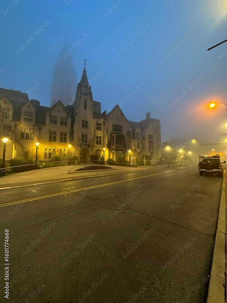 Fototapeta premium Misty gothic building and street lights at dawn