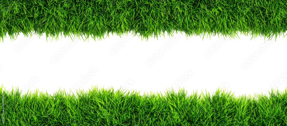Grassy border with a black center Grassy border with a black center