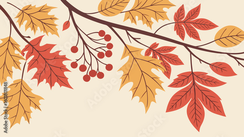 Watercolor autumn background with birch and maple leaves. Vector illustration,Autumn background with falling leaves and acorns. Vector illustration.