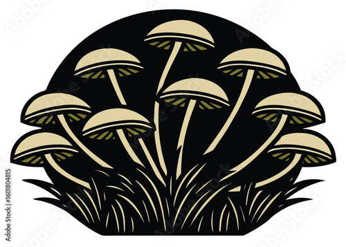 Clustered pale mushrooms with dark gills and grass fungi pale caps