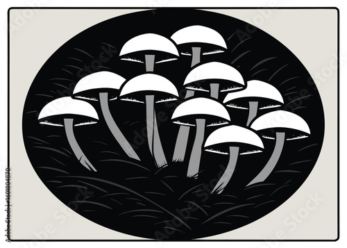 Clustered white capped mushrooms with grey stems on dark ground white caps