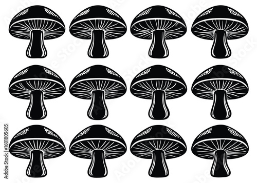 Twelve black and white mushroom silhouettes fungi poisonous