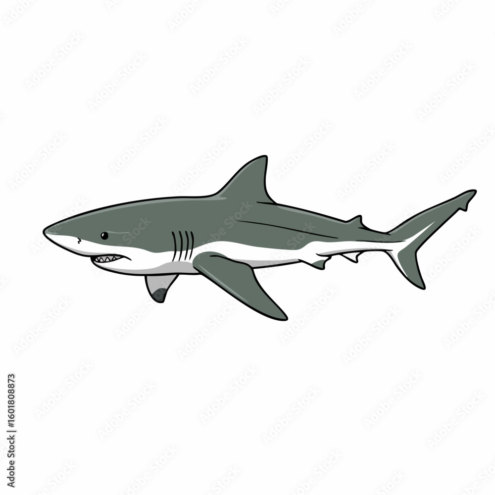 Fototapeta premium Cartoon Great White Shark Swimming with Detailed Fins and Teeth