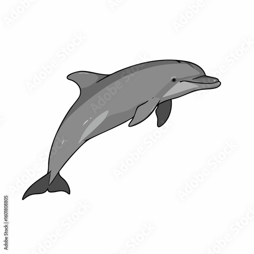 Graceful Gray Dolphin Leaping Through the Ocean's Depths, Smiling