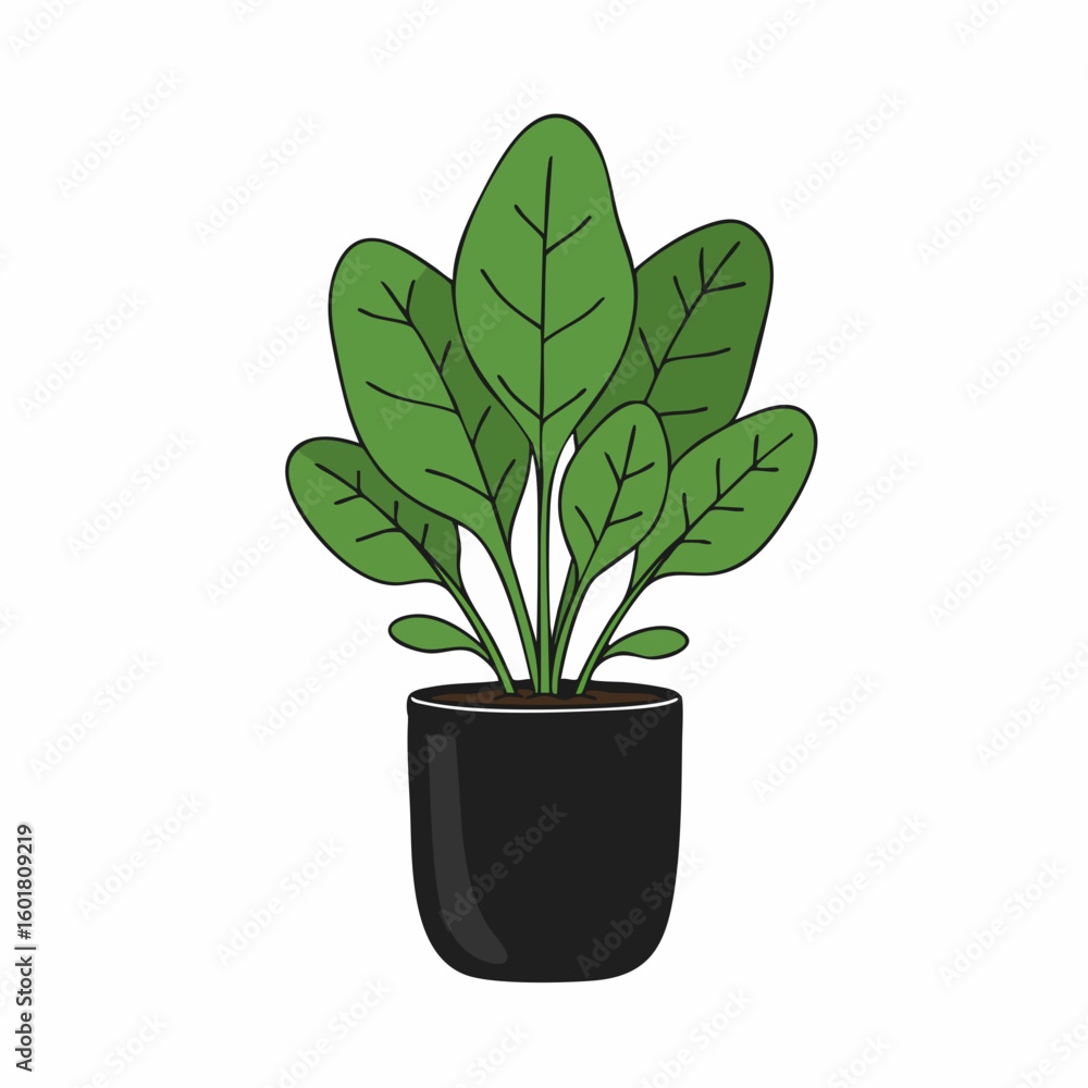 Fototapeta premium Simple Illustration of a Lush Green Plant in a Black Pot