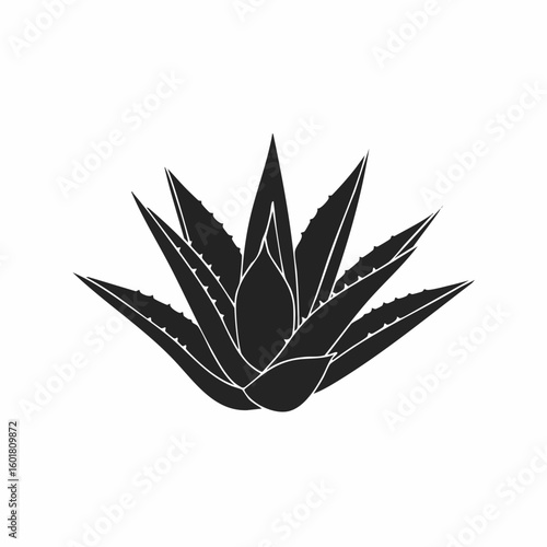 Simple Silhouette of a Majestic Agave Plant