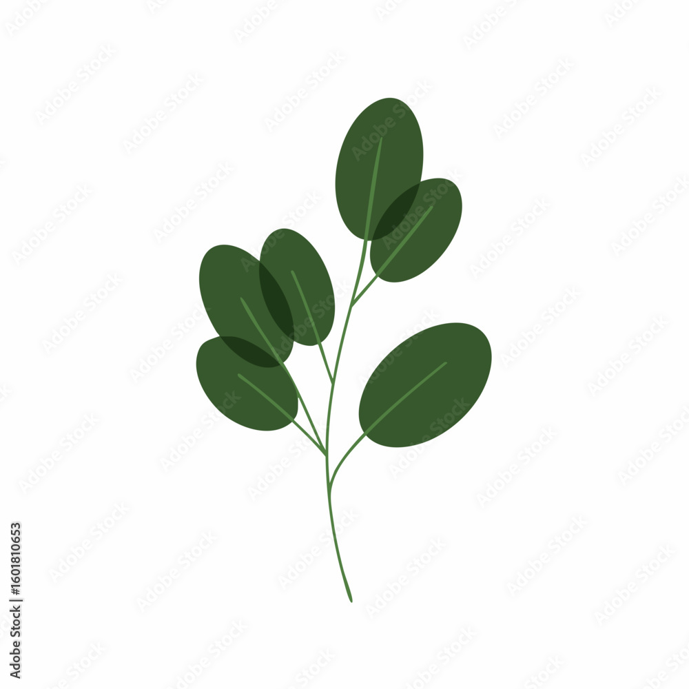 Fototapeta premium Delicate Branch with Oval Leaves in a Simple Design