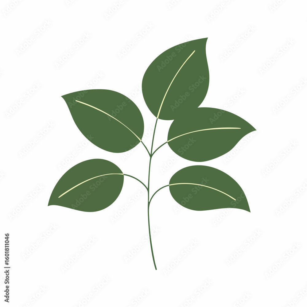 Obraz premium Simple Green Leafy Branch with Delicate Veins and Minimalist Design