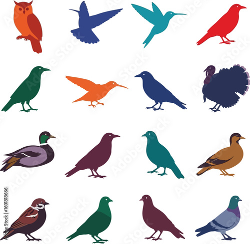 Collection of colorful bird illustrations including owl hummingbird and various other species