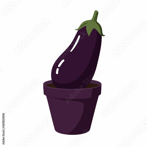 Single Dark Purple Eggplant in a Pot